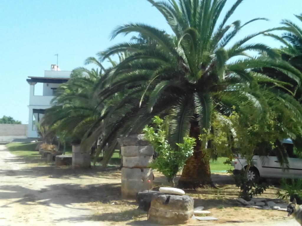 El Olivar De Roche Viejo Conil De La Frontera Exterior foto